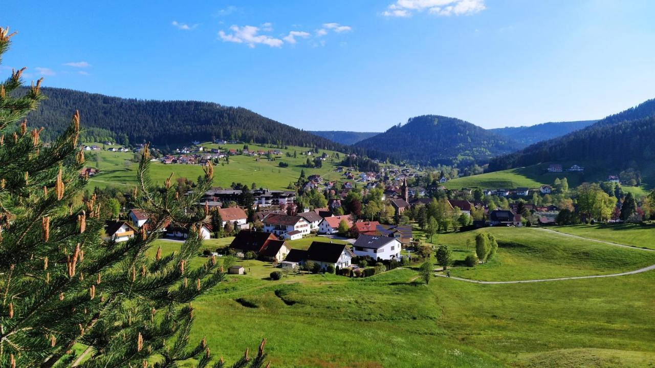 Ferienwohnung, Sauna & Gaestekarte Gratis Im Schwarzwald بيرسبرون المظهر الخارجي الصورة