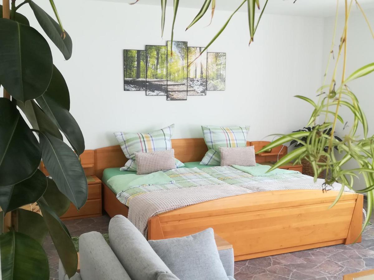 Ferienwohnung, Sauna & Gaestekarte Gratis Im Schwarzwald بيرسبرون المظهر الخارجي الصورة