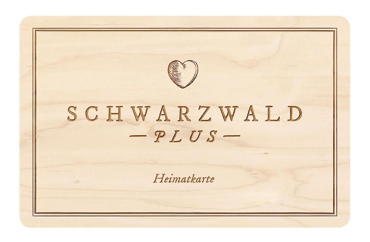 Ferienwohnung, Sauna & Gaestekarte Gratis Im Schwarzwald بيرسبرون المظهر الخارجي الصورة