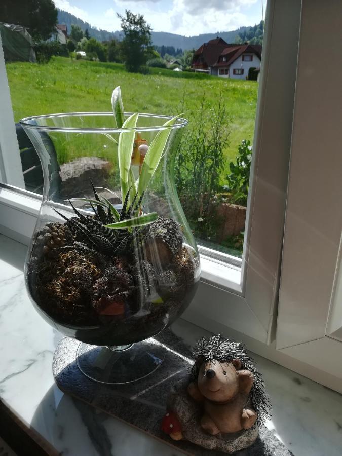 Ferienwohnung, Sauna & Gaestekarte Gratis Im Schwarzwald بيرسبرون المظهر الخارجي الصورة