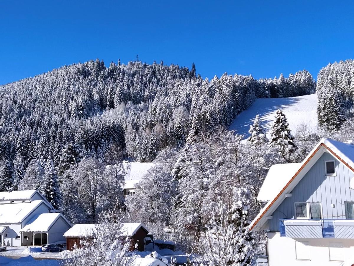 Ferienwohnung, Sauna & Gaestekarte Gratis Im Schwarzwald بيرسبرون المظهر الخارجي الصورة