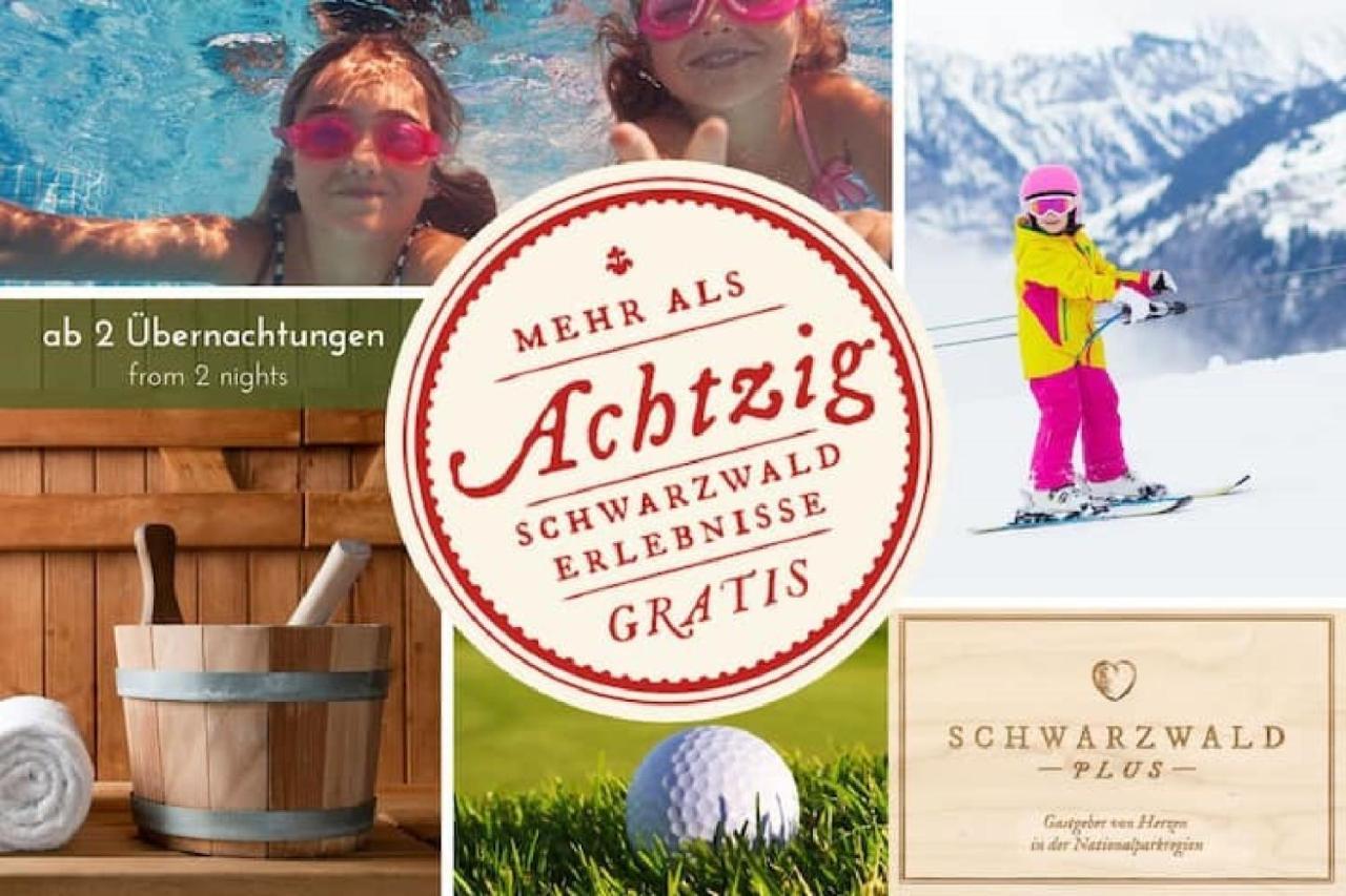 Ferienwohnung, Sauna & Gaestekarte Gratis Im Schwarzwald بيرسبرون المظهر الخارجي الصورة