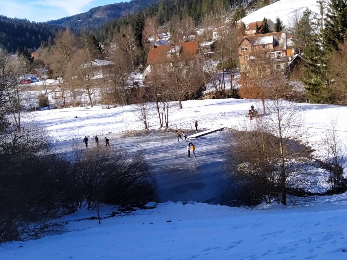 Ferienwohnung, Sauna & Gaestekarte Gratis Im Schwarzwald بيرسبرون المظهر الخارجي الصورة