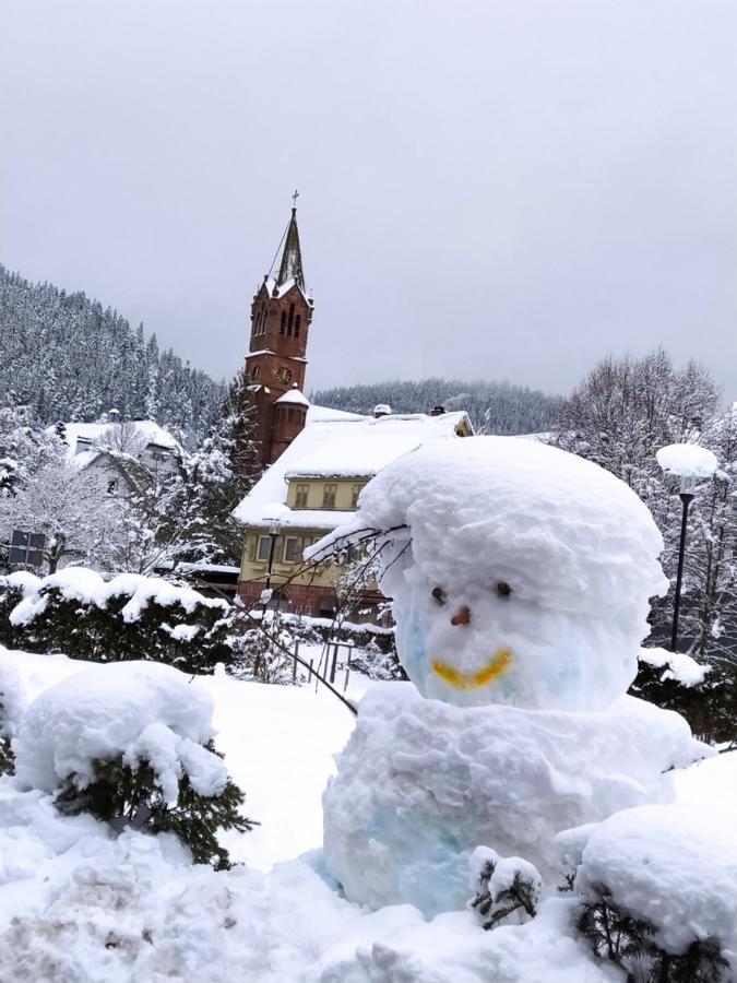 Ferienwohnung, Sauna & Gaestekarte Gratis Im Schwarzwald بيرسبرون المظهر الخارجي الصورة