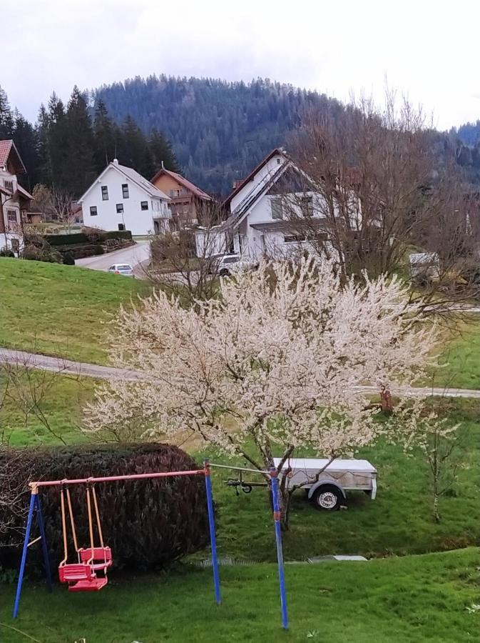 Ferienwohnung, Sauna & Gaestekarte Gratis Im Schwarzwald بيرسبرون المظهر الخارجي الصورة