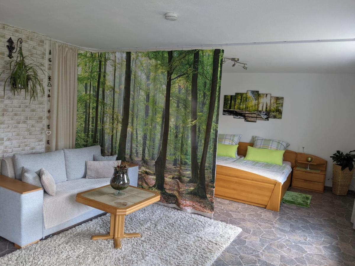 Ferienwohnung, Sauna & Gaestekarte Gratis Im Schwarzwald بيرسبرون المظهر الخارجي الصورة