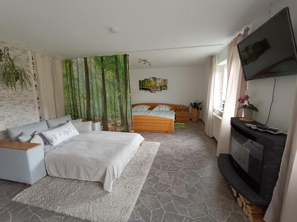 Ferienwohnung, Sauna & Gaestekarte Gratis Im Schwarzwald بيرسبرون المظهر الخارجي الصورة
